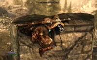 .mp4