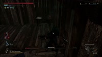 1750331452655201513.mp4