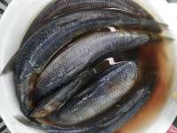 Вкуснятина.jpg