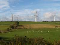 WharrelsHillWindFarm-geograph.org.uk-1937674.jpg