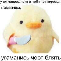 загруженное.jfif