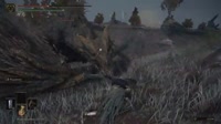 Elden Ring 2025.07.05 - 20.57.30.02.DVRMerged (4).mp4