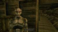 IMG6769.jpeg