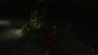 Skyrim 2025.07.06 - 20.56.29.16.mp4