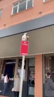 16546369364920.webm