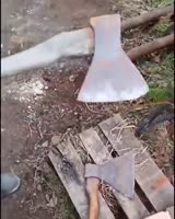 16295745020201.webm