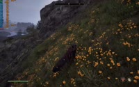 .mp4