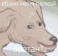 16212787986680.png