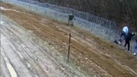 балканские   785743.mp4