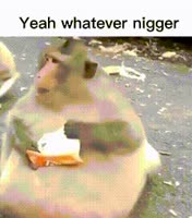 17060070759120.mp4