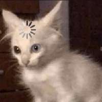 1747375616191340.gif