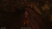 Elder Scrolls IV  Oblivion 2025.07.10 - 08.52.33.11.mp4
