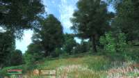 Oblivion 2025-05-07 04-38-05-47.png