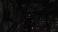 Skyrim 2025.07.13 - 10.53.55.06.mp4