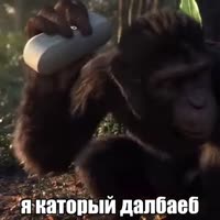 7472807590112529682.mp4