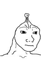 IMG7747.jpeg