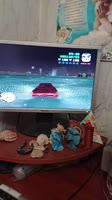 7522533740078206214.mp4
