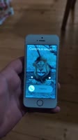 7526488570874400055.mp4