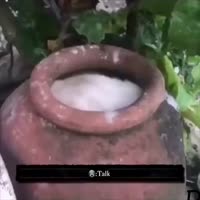 17198258757840.mp4