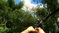 deepphilosophy.webm