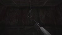 17531753863381.mp4