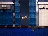 17145919688930.mp4