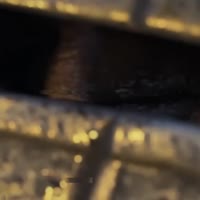 554f9711785000ef9be88d7c16811607.mp4