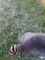 video2025-08-2620-43-04.mp4