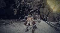 Elden Ring Screenshot 2025.07.17 - 02.35.54.23.png
