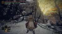 Elden Ring Screenshot 2025.07.17 - 02.16.54.14.png