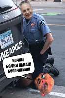 175272747967777824.jpg