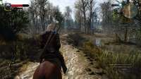 The Witcher 3 Screenshot 2025.07.19 - 07.16.31.88.png