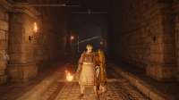 Elden Ring Screenshot 2025.07.18 - 19.01.29.54.png