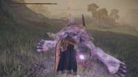 Elden Ring Screenshot 2025.07.19 - 22.46.17.45.png