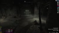 1.mp4