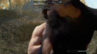 Combat in Morrowind vs Combat in Skyrim (1).mp4