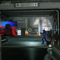 Camel.mp4