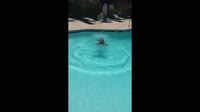 appleskyrim.webm
