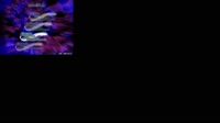 2025-07-24 14-30-14.mp4