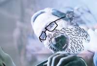 Soijaks the Masquerade - Soylines.png