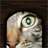 Cat(WindowsXP).png