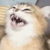 Gv-s-W7WoAAccBV.mp4