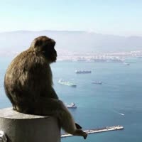 7521580986413370638.mp4