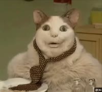 17301229490140.mp4