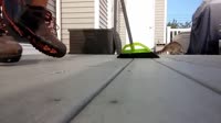 16260123256120.mp4