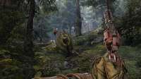 witchfire-t0vfg.jpg
