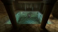 17541071038770.mp4