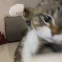 17539705429590.webp