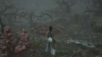 Wuchang  Fallen Feathers Screenshot 2025.08.06 - 20.16.43.93.jpg
