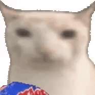 1733833584848399.gif